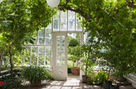 free Scott Willoughby orangery quotes